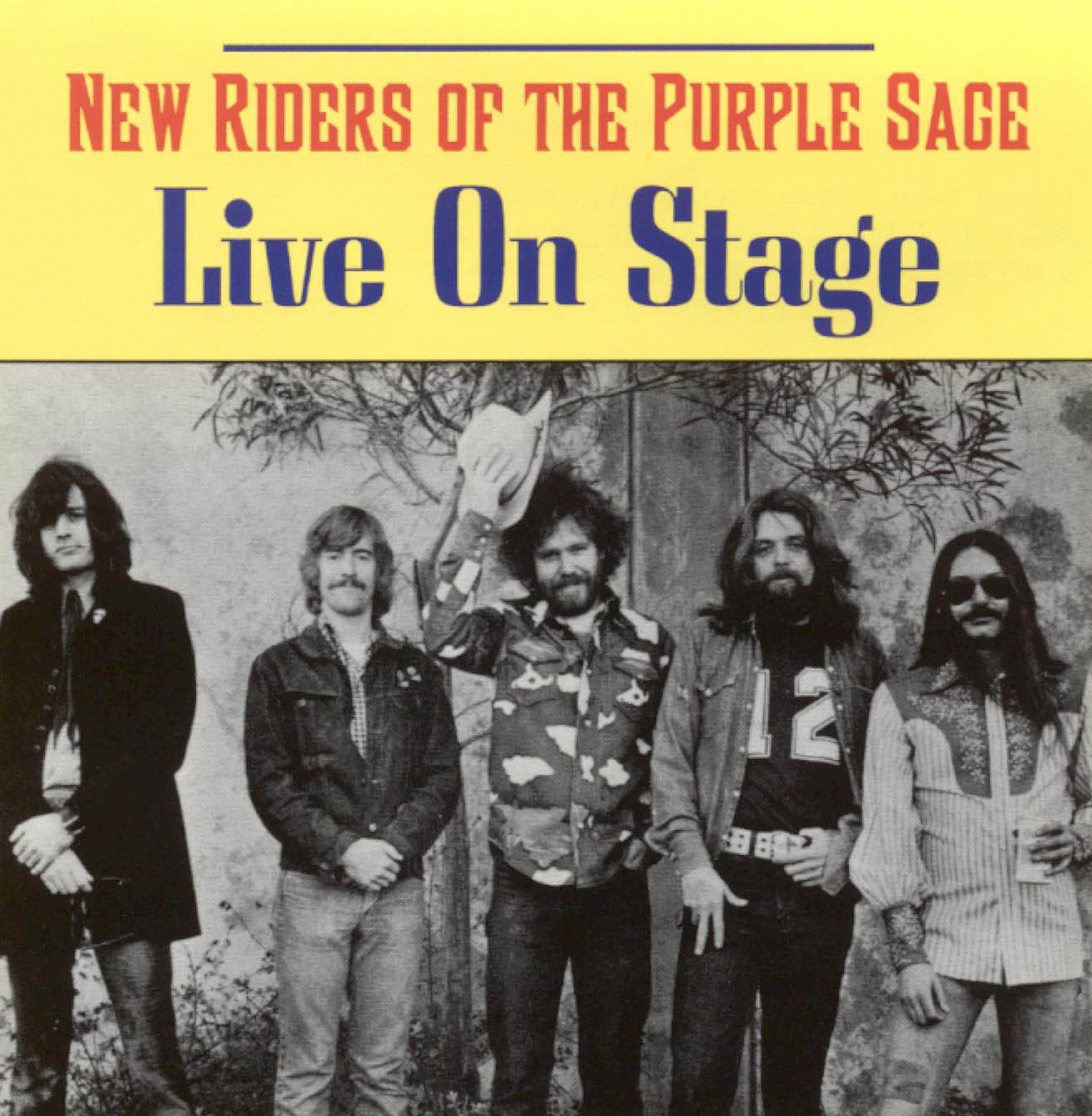 NEW RIDERS OF THE PURPLE SAGE  - LIVE ON STAGE