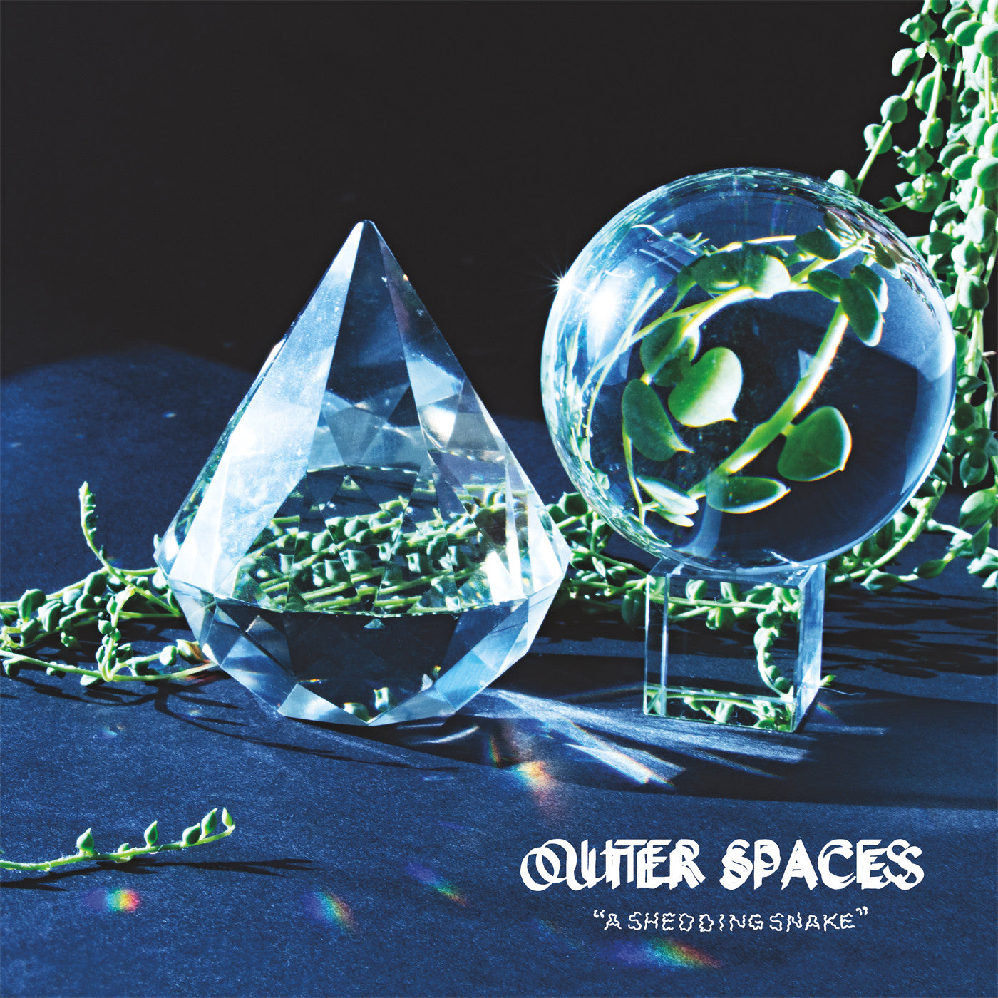 OUTER SPACES - A SHEDDING SNAKE