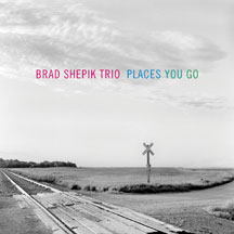 BRAD SHEPIK TRIO - PLACES YOU GO  [CD]