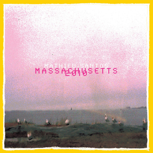 SANTOS, MATHIEU - MASSACHUSETTS 2010
