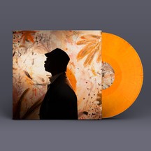 SULTAN STEVENSON - EL ROI [LP]