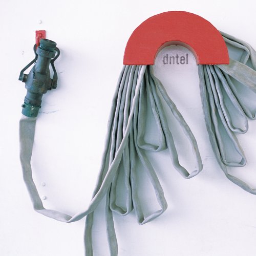 DNTEL - DUMB LUCK