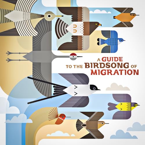 VARIOUS ARTISTS - A GUIDE TO THE BIRDSONG OF MIGRATION (VINYL)