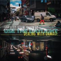 DEALING WITH DAMAGE - USE THE DAYLIGHT [LP]