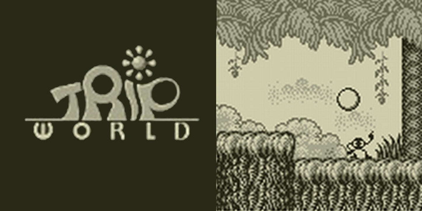 PHOTO WORLD  - 3DS