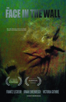 THE FACE IN THE WALL [DVD]