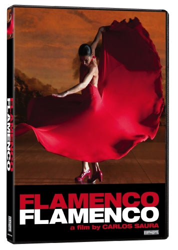 FLAMENCO FLAMENCO  - DVD