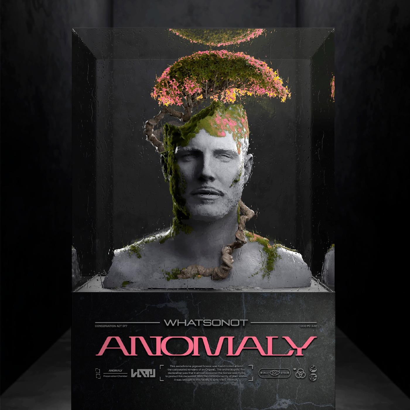 WHAT SO NOT - ANOMALY