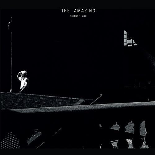 THE AMAZING - PICTURE YOU (CD)