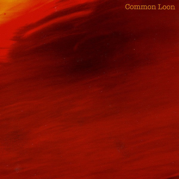 COMMON LOON  - LONG DREAM OF BIRDS