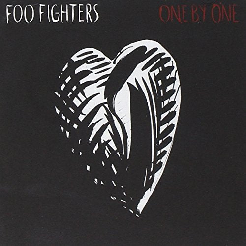 FOO FIGHTERS - ONE BY ONE (WITHOUT DVD)