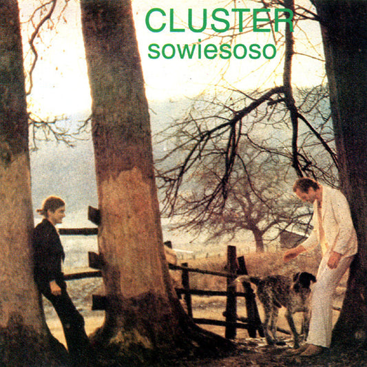 CLUSTER  - SOWIESOSO