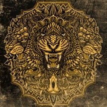 CICONIA - ANIMAL CHAPTERS [CD]