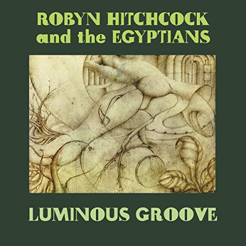 HITCHCOCK, ROBYN  - LUMINOUS GROOVE (5CDS)