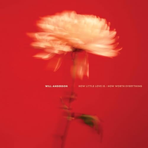 WILL ANDERSON - HOW LITTLE LOVE IS / HOW WORTH EVERYTHING (VINYL)