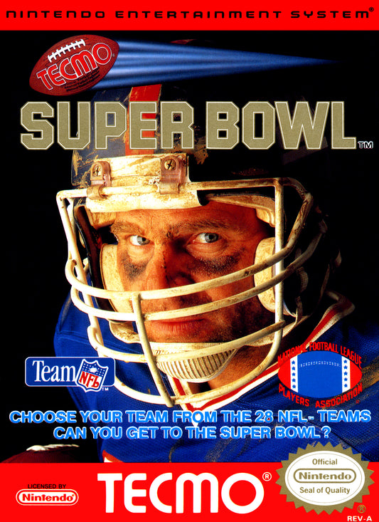 TECMO SUPER BOWL  - NES