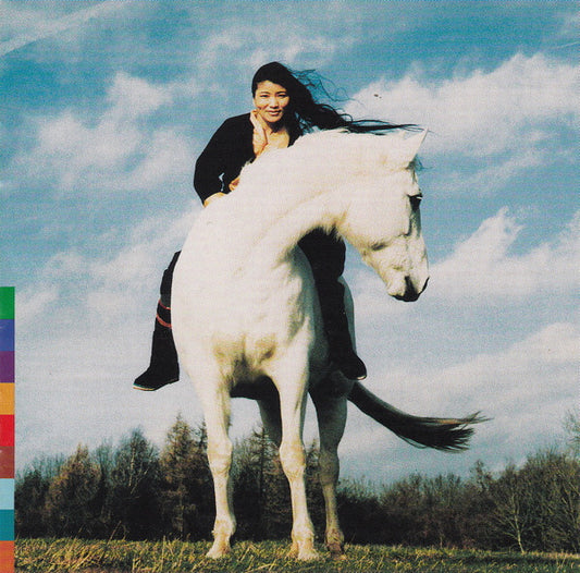 LHAMO, YUNGCHEN  - COMEING HOME (TIBET)
