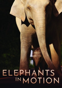 ELEPHANTS IN MOTION [DVD]