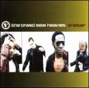BRAND NEW HEAVIES  - SHELTER
