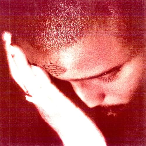 NOURISHED BY TIME - THE PASSIONATE ONES (VINYL)