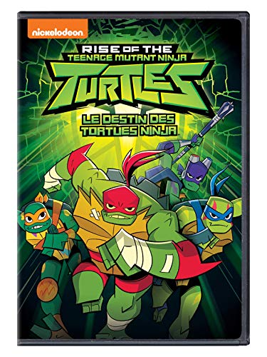 RISE OF THE TEENAGE MUTANT NINJA TURTLES