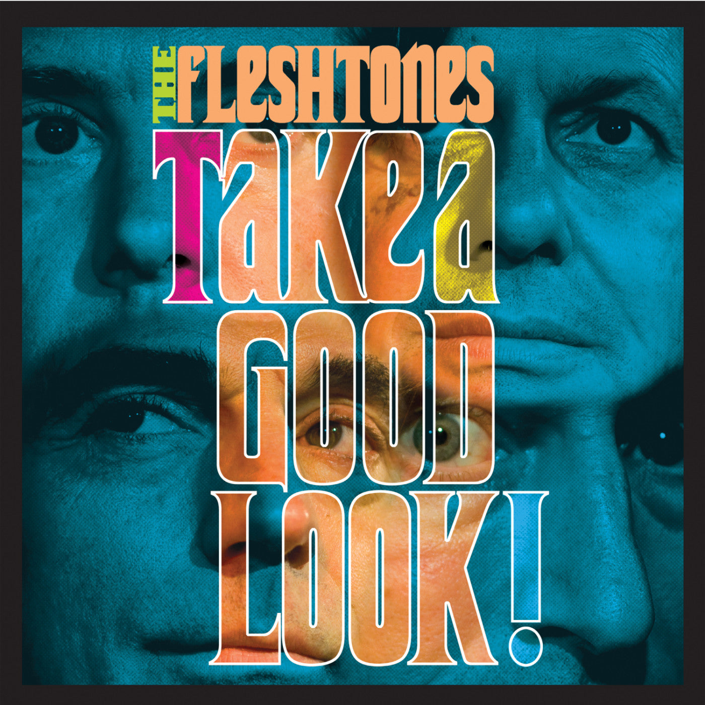FLESHTONES, THE - TAKE A GOOD LOOK