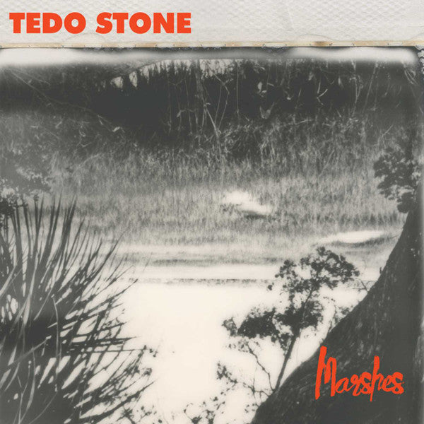 STONE, TEDO  - MARSHES
