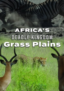 AFRICA'S DEADLY KINGDOM: GRASS PLAINS [DVD]