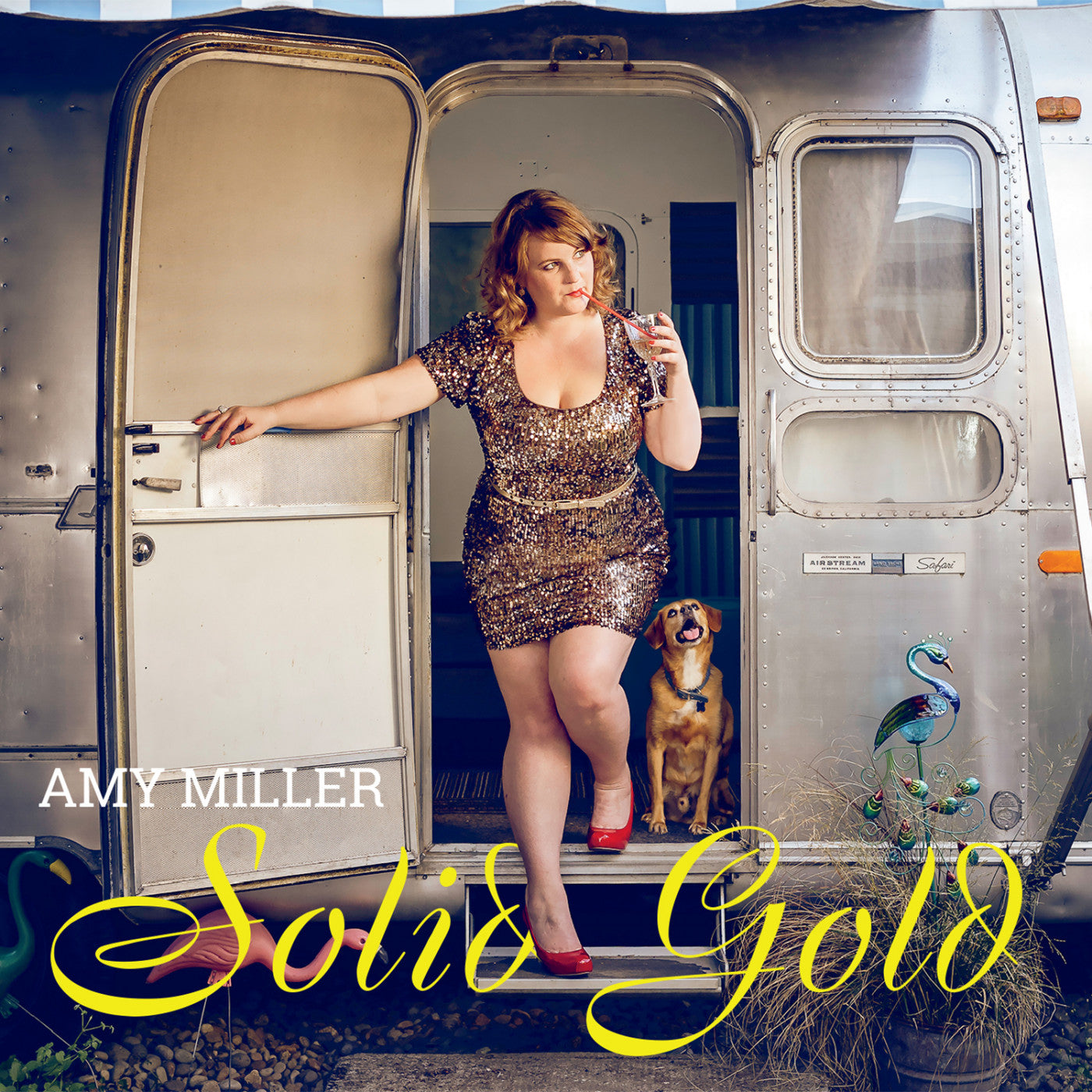 MILLER, AMY - SOLID GOLD