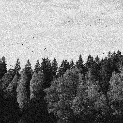 OCTOBER FALLS  - A COLLAPSE OF FAITH