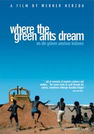WHERE THE GREEN ANTS DREAM  - DVD