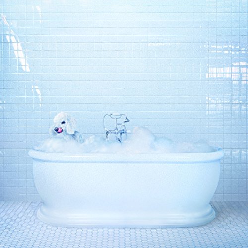 FRANKIE COSMOS - VESSEL (CD)