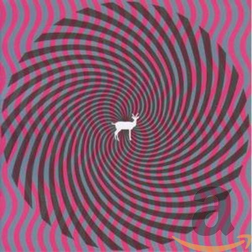 DEERHUNTER - CRYPTOGRAMS