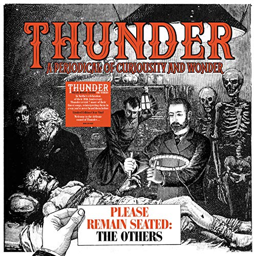 THUNDER - PLEASE REMAIN SEATED - THE OTHERS (VINYL)