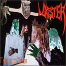MASTER  - FAITH IS IN SEASON