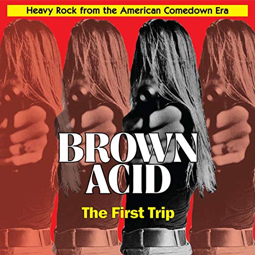VARIOUS ARTISTS - BROWN ACID: FIRST TRIP / VARIOUS (VINYL)