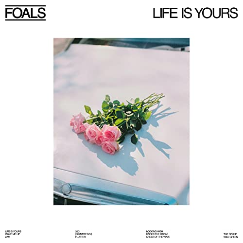 FOALS - LIFE IS YOURS (VINYL)
