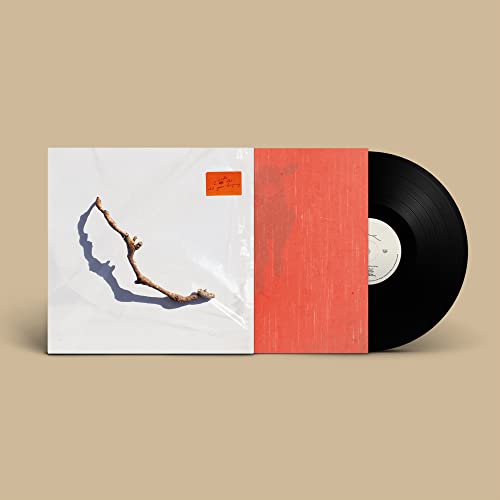 PJ HARVEY - I INSIDE THE OLD YEAR DYING (VINYL)