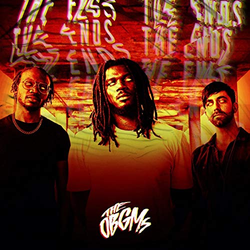 THE OBGMS - THE ENDS (VINYL)