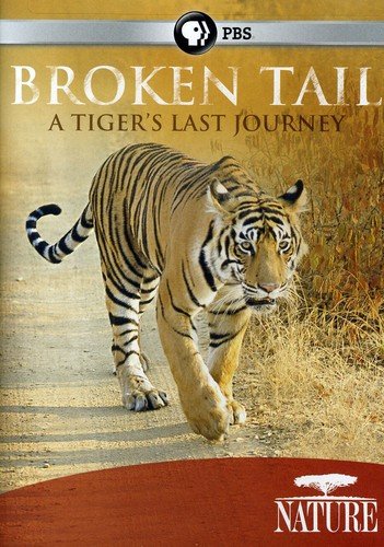 BROKEN TAIL: A TIGER'S LAST JOURNEY