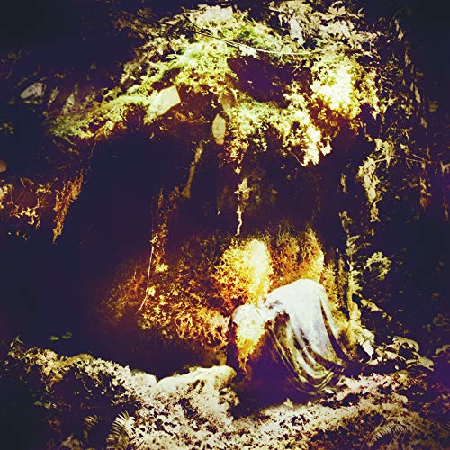 WOLVES IN THE THRONE ROOM - CELESTIAL LINEAGE (VINYL)