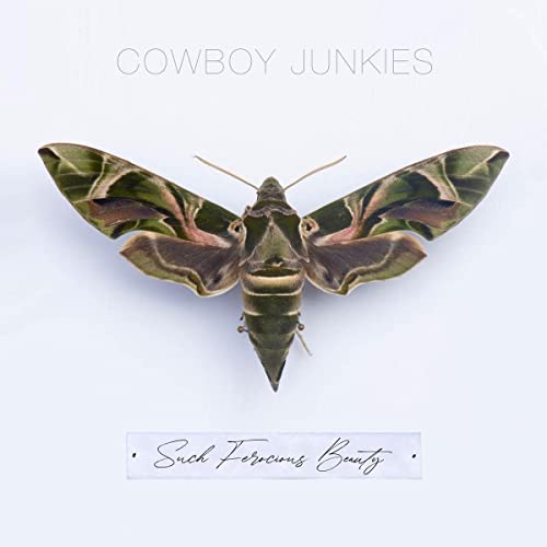 COWBOY JUNKIES - SUCH FEROCIOUS BEAUTY (CD)